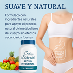 Limpieza de 15 días